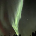 Perfect Апартаменты